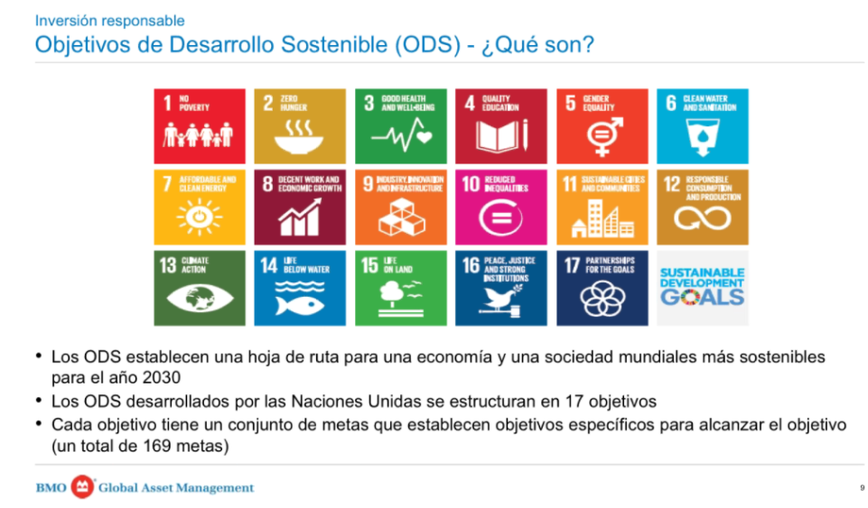 Diapositiva de la presentación empleada por Luis Martín durante el streaming que explica qué son los objetivos de desarrollo sostenible (ODS)